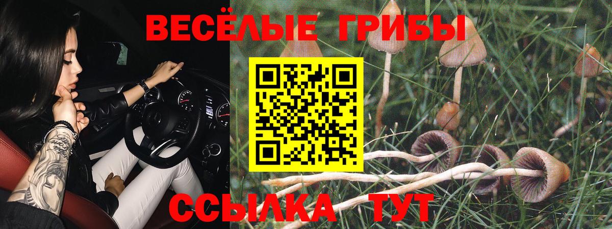 Галлюциногенные грибы мухоморы Карачаевск