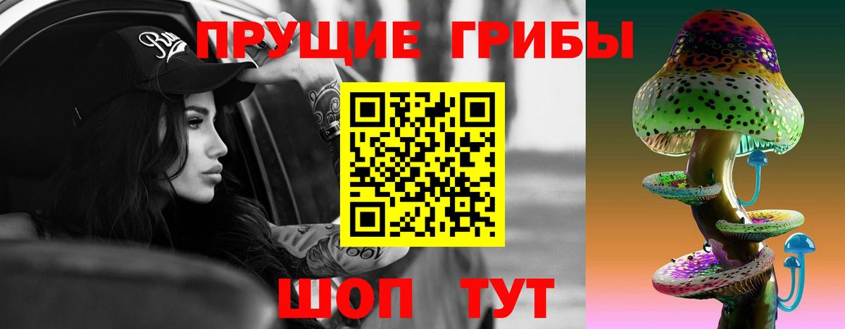 Галлюциногенные грибы мухоморы  Псилоцибиновые грибы MAGIC MUSHROOMS  Вход с VPN  купить наркотик  Карачаевск 